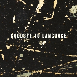 Image du média "GOODBYE TO LANGUAGE de Daniel LANOIS, ROCCO DELUCA"