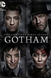 Image du média "GOTHAM - 1/1 de T.J. SCOTT"