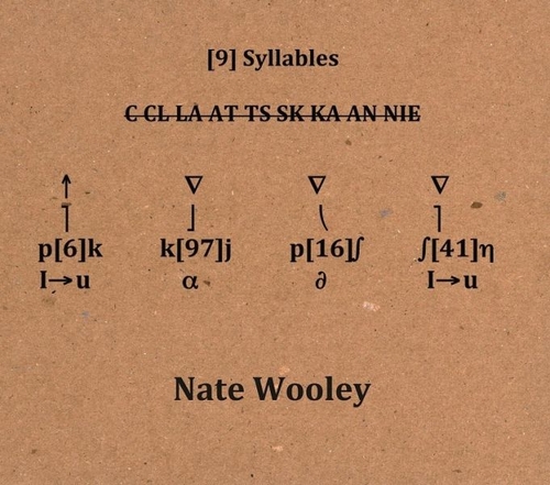 Couverture (9)SYLLABLES de Nate WOOLEY