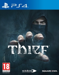 Image du média "THIEF de EIDOS"