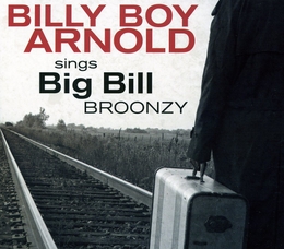 Image du média "SINGS BIG BILL BROONZY de Billy Boy ARNOLD"