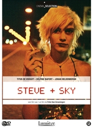 Image du média "STEVE + SKY de Felix VAN GROENINGEN"