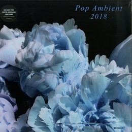 Image du média "POP AMBIENT 2018"