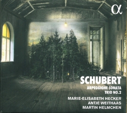 Image du média "SONATE ARPEGGIONE de Franz SCHUBERT"