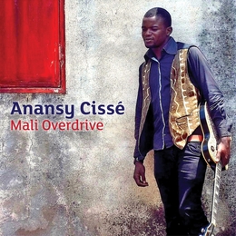 Image du média "MALI OVERDRIVE de Anansy CISSÉ"