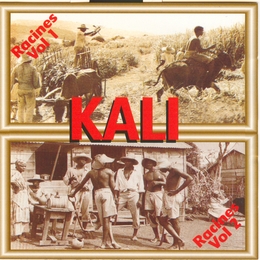 Image du média "RACINES VOL. 2 de KALI"