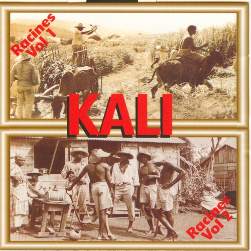 Couverture RACINES VOL. 2 de KALI