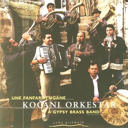 Image du média "UNE FANFARE TSIGANE - A GYPSY BRASS BAND de KOCANI ORKESTAR"