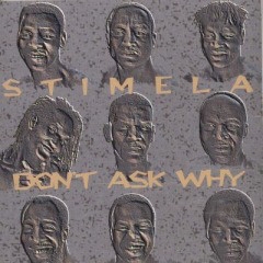 Couverture DON'T ASK WHY de STIMELA