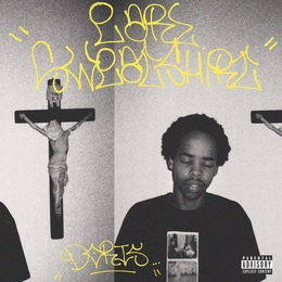 Image du média "DORIS de EARL SWEATSHIRT"