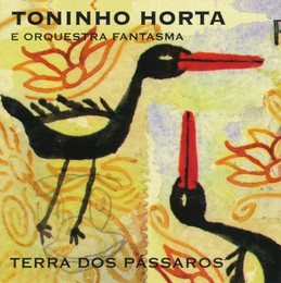 Image du média "TERRA DOS PASSAROS de Toninho HORTA"