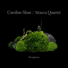 Image du média "EVERGREEN de Caroline SHAW"