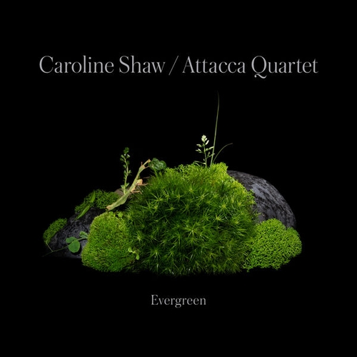 Couverture EVERGREEN de Caroline SHAW