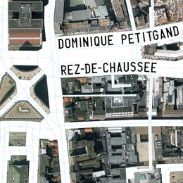 Image du média "REZ-DE-CHAUSSÉE de Dominique PETITGAND"