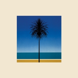 Image du média "THE ENGLISH RIVIERA de METRONOMY"