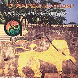 Image du média "D RAPSO NATION: ANTHOLOGY OF THE BEST OF RAPSO"