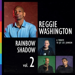 Image du média "RAINBOW SHADOW VOL.2 de Reggie WASHINGTON"