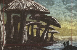 Image du média "VOYAGE AU CENTRE LA TERRE de Jules VERNE"