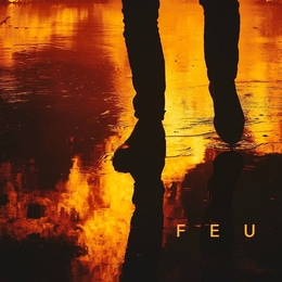 Image du média "FEU de NEKFEU"