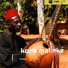 Image du média "SENEGAL: KORA MALINKE"