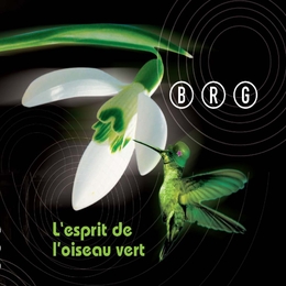 Image du média "L'ESPRIT DE L'OISEAU VERT de BRG"