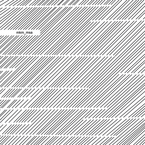 Couverture MSA de MKM (MÜLLER/KAHN/MÖSLANG)