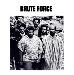 Image du média "BRUTE FORCE de BRUTE FORCE"