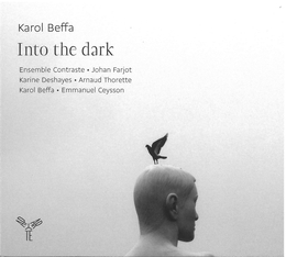 Image du média "INTO THE DARK de Karol BEFFA"