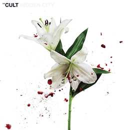 Image du média "HIDDEN CITY de THE CULT"