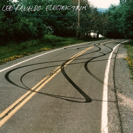 Image du média "ELECTRIC TRIM de Lee RANALDO"