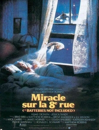 Image du média "MIRACLE SUR LA 8ÈME RUE de Matthew ROBBINS"