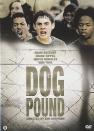 Image du média "DOG POUND de Kim CHAPIRON"