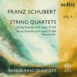 Image du média "QUATUOR CORDES  11,13 de Franz SCHUBERT"