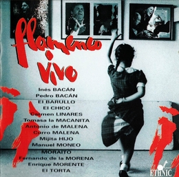 Image du média "FLAMENCO VIVO"