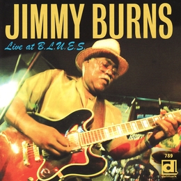 Image du média "LIVE AT B.L.U.E.S. de Jimmy BURNS"