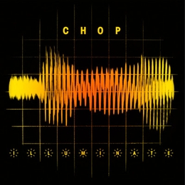 Image du média "ILLUMINATE de MR CHOP"