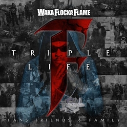 Image du média "TRIPLE F LIFE - FRIENDS, FANS & FAMILY de WAKA FLOCKA FLAME"