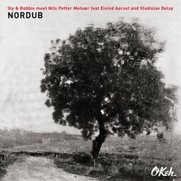 Image du média "NORDUB de Nils Petter MOLVAER FT EIVIND AARSET/VLADISLAV DELAY"