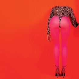 Image du média "MASSEDUCTION de ST. VINCENT"