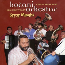 Image du média "GYPSY MAMBO de KOCANI ORKESTAR"