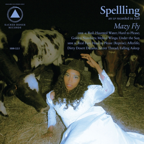 Couverture MAZY FLY de SPELLLING