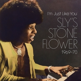 Image du média "I'M JUST LIKE YOU de Sly STONE"