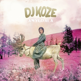 Image du média "AMYGDALA de DJ KOZE"