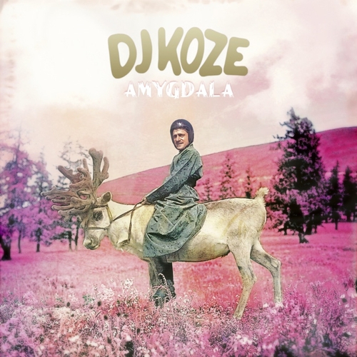 Couverture AMYGDALA de DJ KOZE