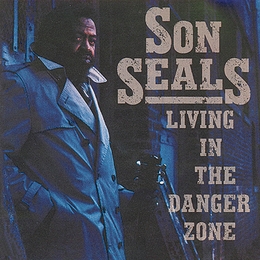 Image du média "LIVING IN THE DANGER ZONE de Son SEALS"