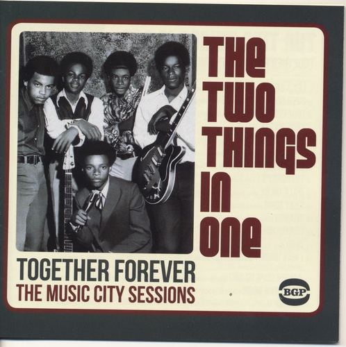 Couverture TOGETHER FOREVER: THE MUSIC CITY SESSIONS de THE TWO THINGS IN ONE