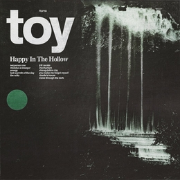 Image du média "HAPPY IN THE HOLLOW de TOY (UK)"