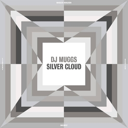 Image du média "SILVER CLOUD - THE MADLIB INVAZION MUSIC LIBRARY SERIES #12 de DJ MUGGS"