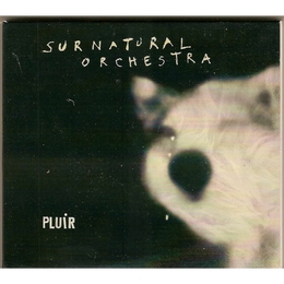 Image du média "PLUIR de SURNATURAL ORCHESTRA"