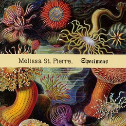 Image du média "SPECIMENS de Melissa ST PIERRE"